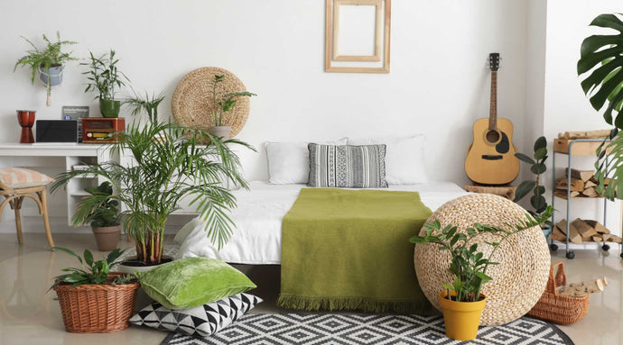 Where to Place Plants in Your Bedroom for Maximum Benefits