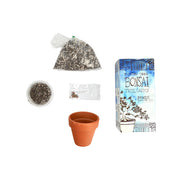 Diy Planting Kit - Japanese Black Pine Tree Bonsai 16 OZ